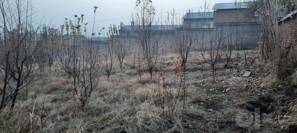 Арзон нархда Ер сотилади 3  сотих чернявка м1 д