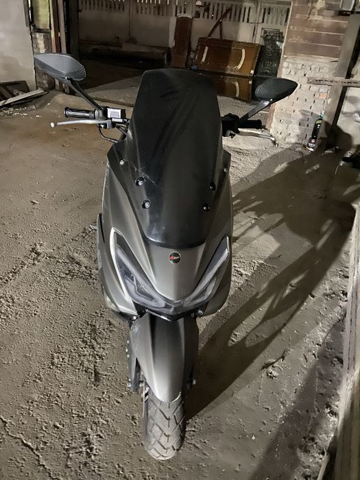 Sukutr gst tiger sotiladi