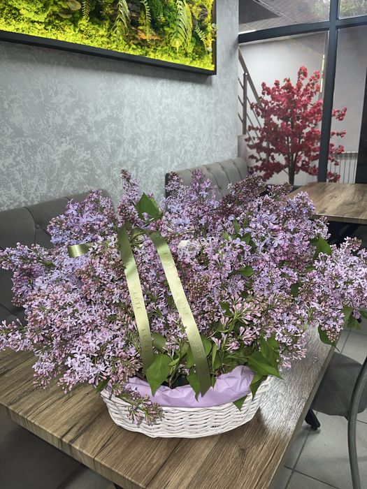 цветы , букет , сирень