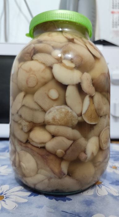 Продам грибы соленые