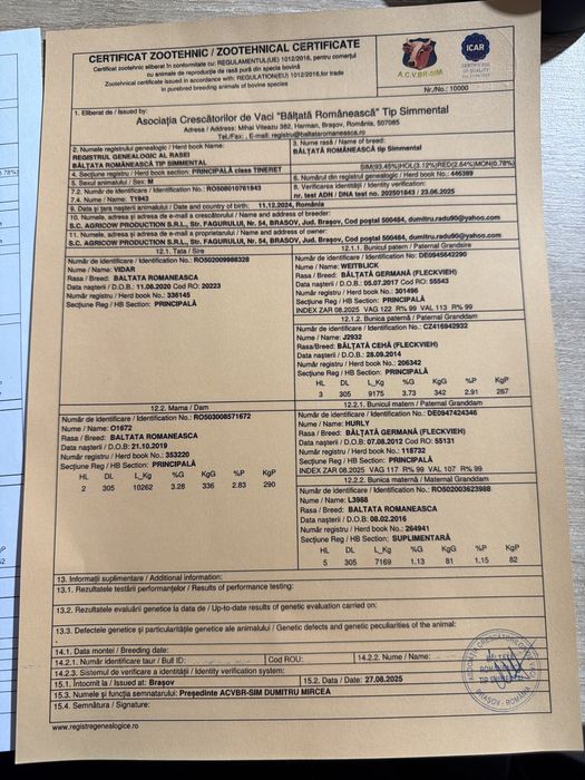 Taur reproductie cu C.Z.