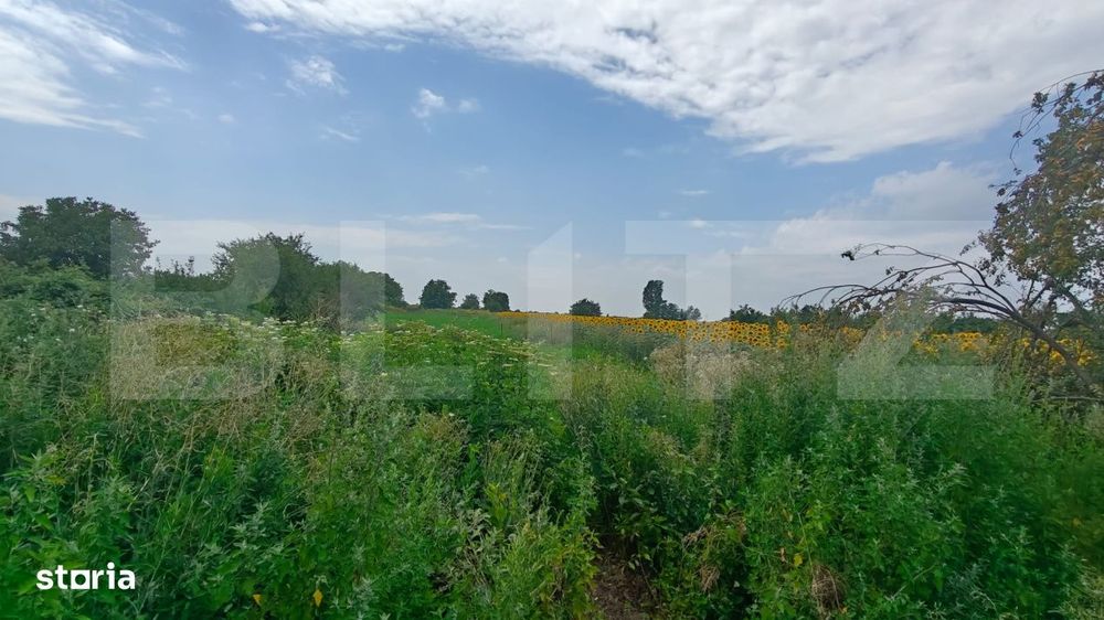 Teren parcelat pentru constructii, 5054.03 mp, zona Cornesti