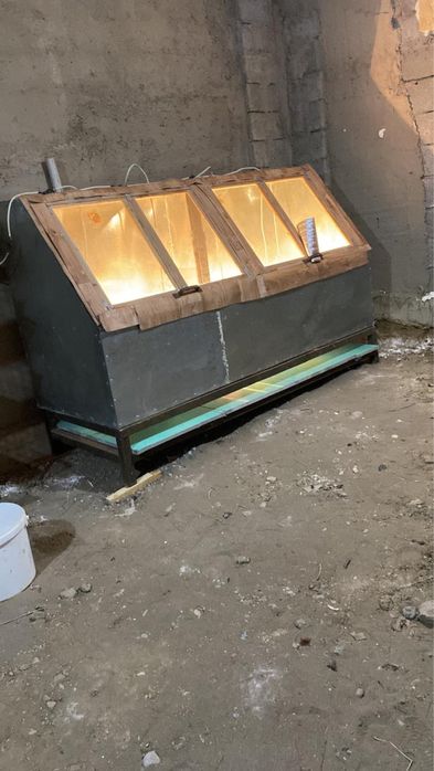 Инкубатор для перепелиных яиц (профессиональный)