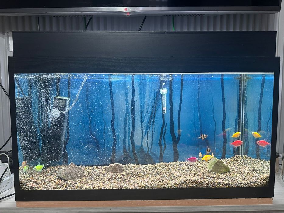 Продам аквариум с рыбками