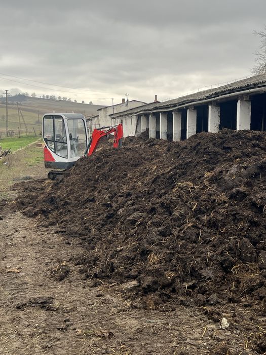 Inchiriez , prestez servicii mini excavator cu operator