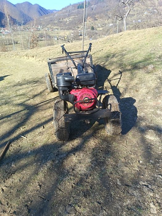 Motocultor vyema 16cai  cu remorcuță făcut ă de mine și freze.