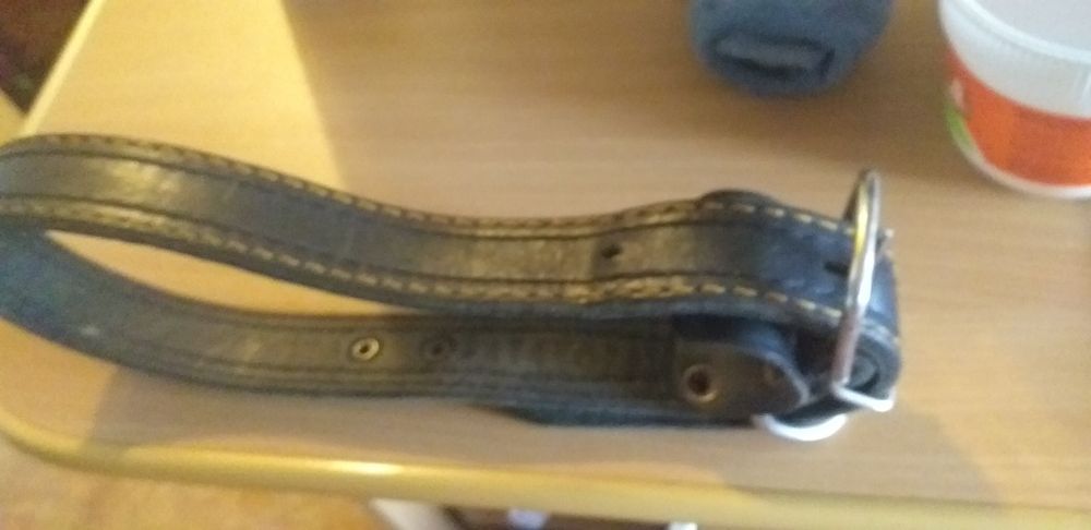 Ошейник для крупной собаки и поводок