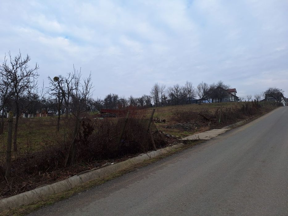 Vând Teren Intravilan 775 mp – Cicârlău, Central (Lângă Primărie)