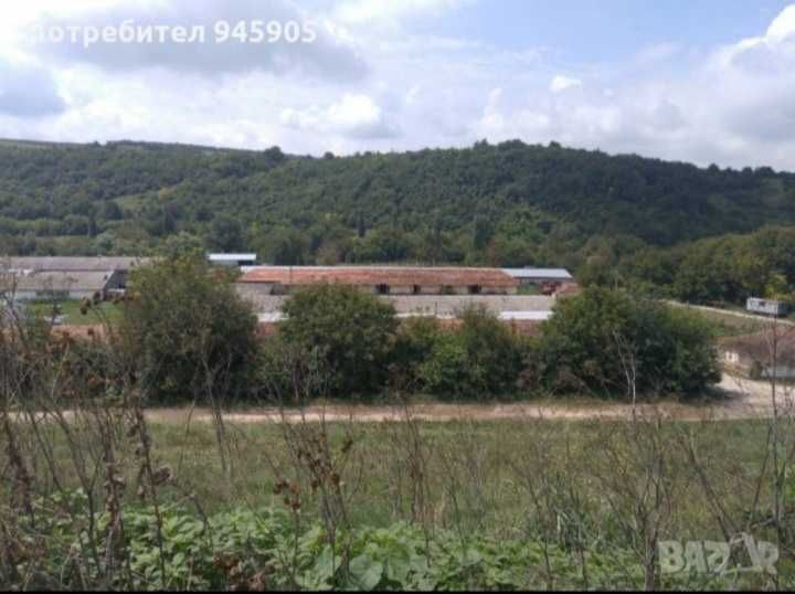 Продава се Промишлена сграда в с. Рибен, Област Плевен - 4100 кв.м за 57 €/кв.м - Снимка #19