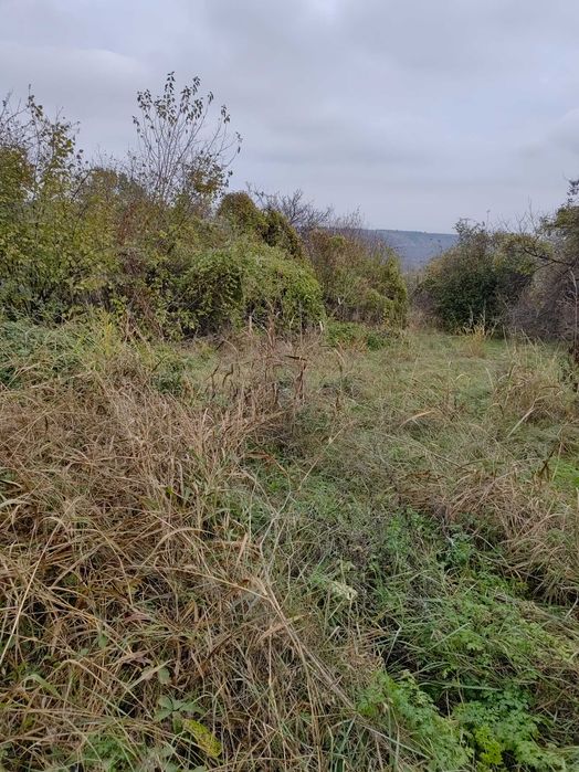 Продава се Парцел в с. Гайтанци, Област Видин - 5321 кв.м за 3 €/кв.м - Снимка #13