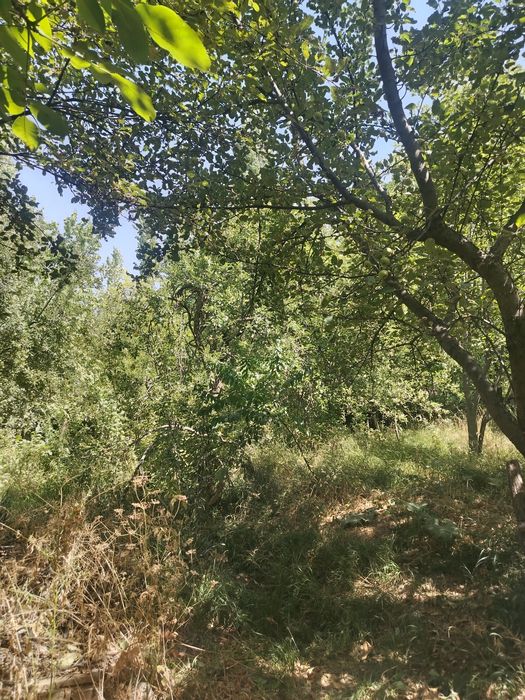 Ховли сотилади 15 сутки сув свет бор