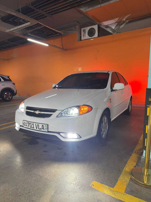 Мошина Жентра 2020