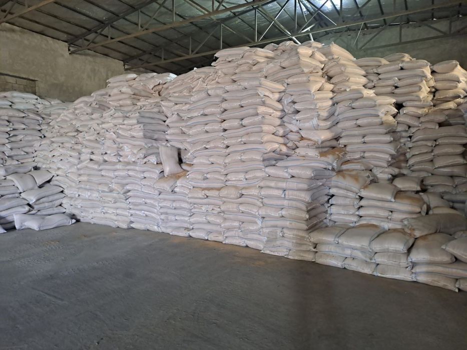 Чм Отруби Кебек Жем