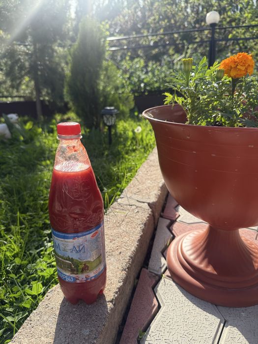 Продам кобру,чертополох,аджику.