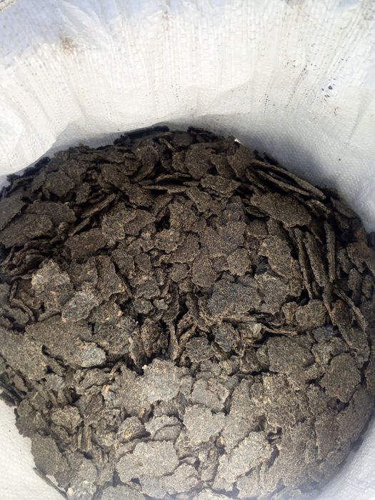 Strot de floarea soarelui