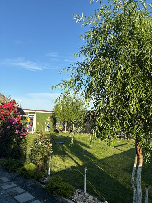 Relax Garden ,curte evenimente private