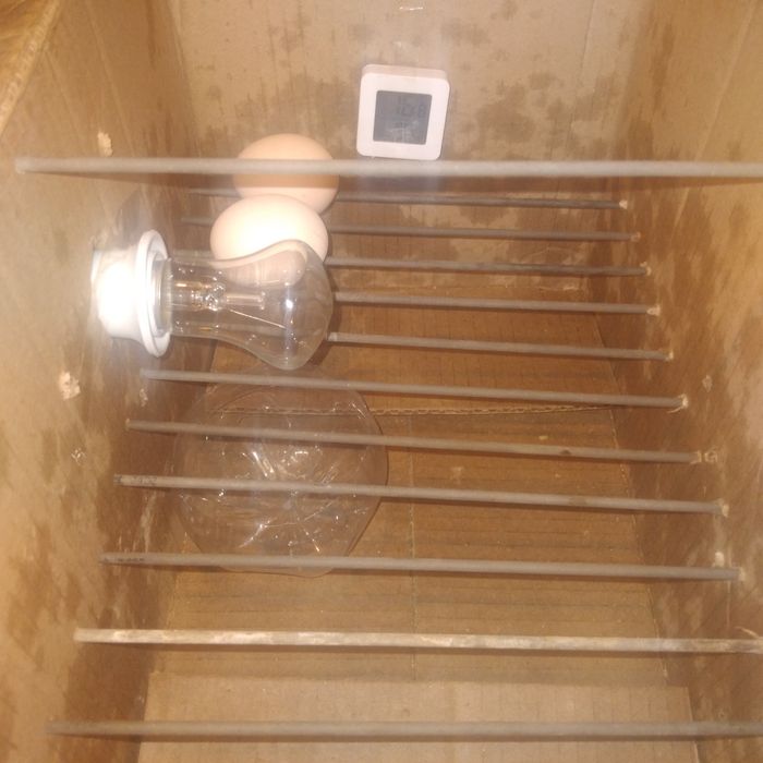 Инкубатор ручной