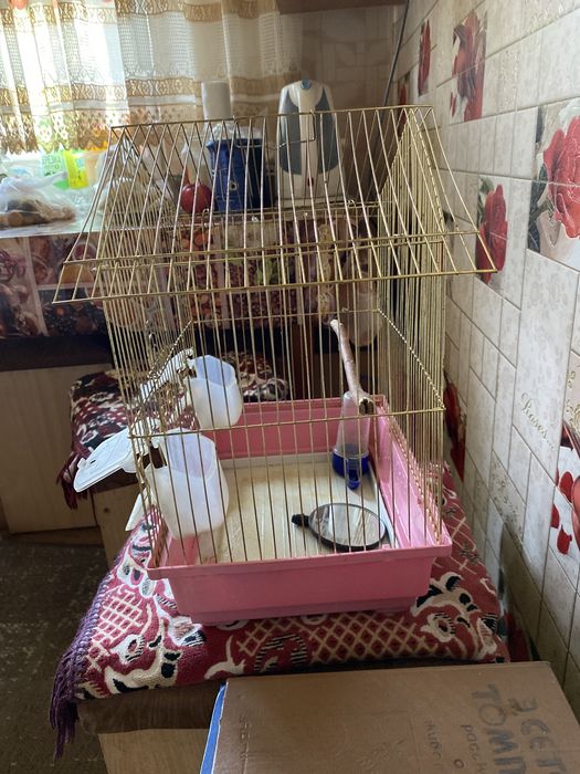 Клетки для птиц