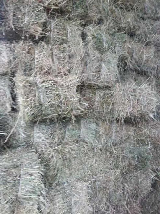 Fân de grădină(baloti)