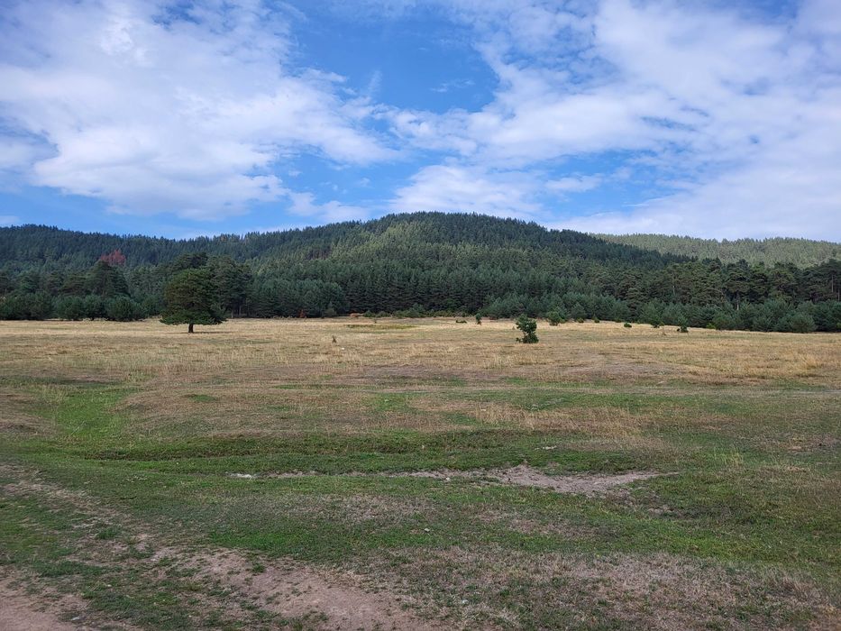 Продава се Парцел в Батак - 5000 кв.м за 16 €/кв.м - Снимка #5