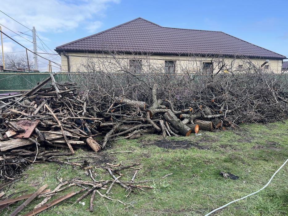 Отын Дерева для!