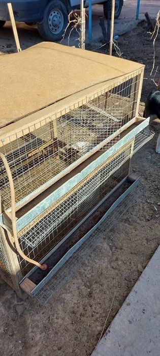 Бөдененің ұясы сатылады