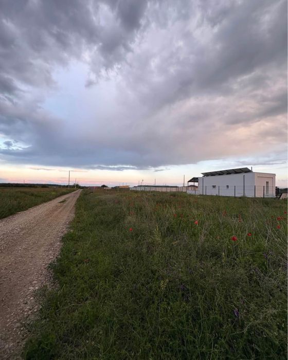 Teren Tartasesti , 462mp - aproape de Buc