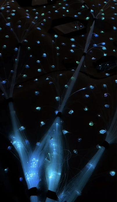 Retapitare plafon alcantara/stofa fete de usi