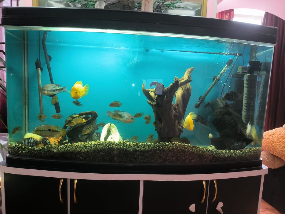 Продам аквариум с рыбками