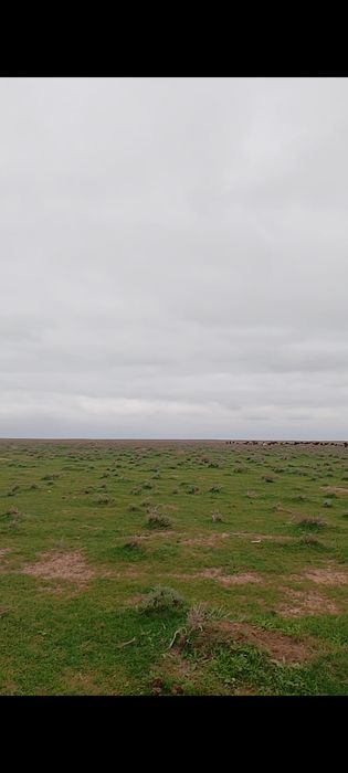 қора сатылады 280млн