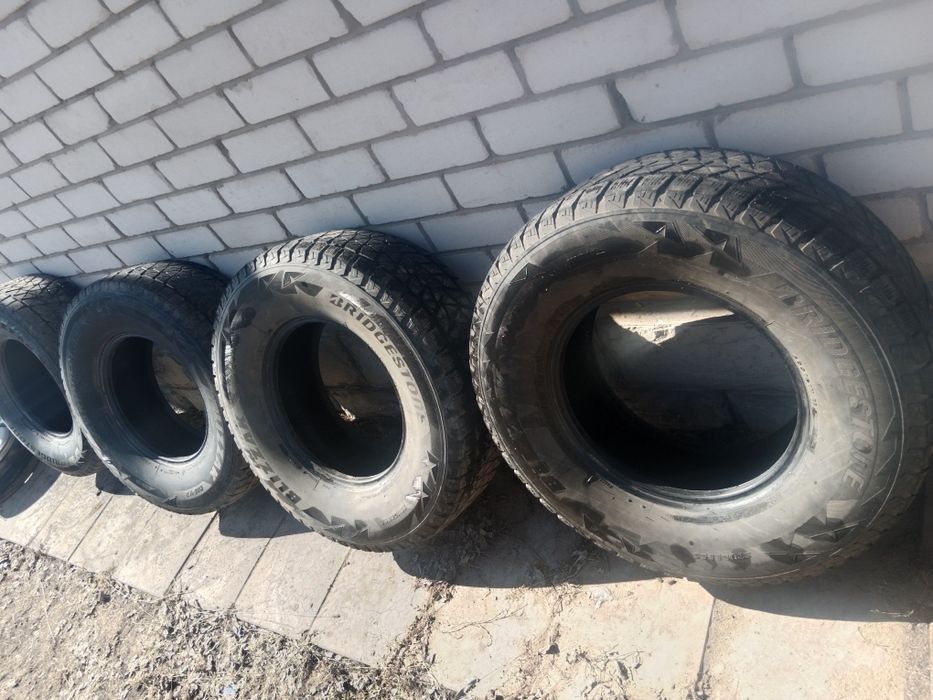 Жазгы догалак сатылыды