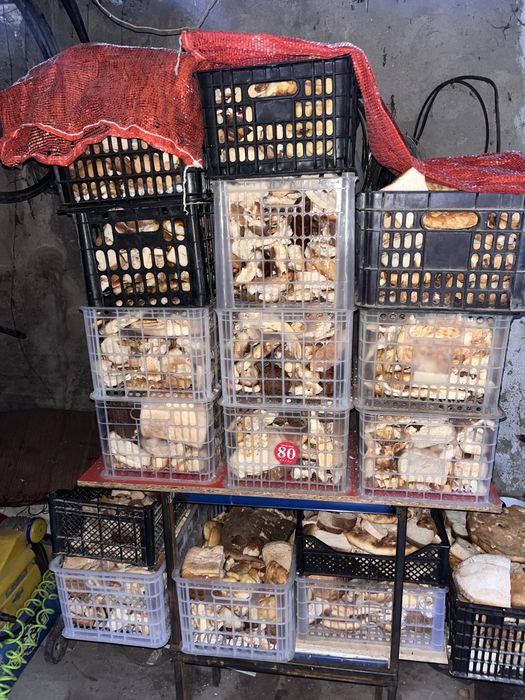 Высушенный хлеб