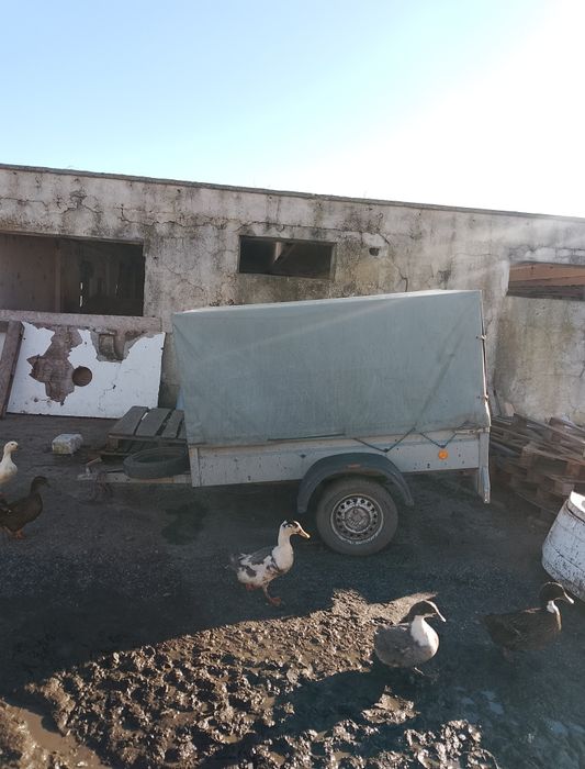 Vând remorca auto 750 kg