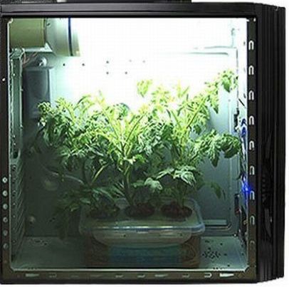 Гроубокс , grouwbox