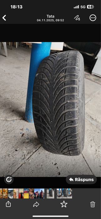 Anveope iarna BF Goodrich