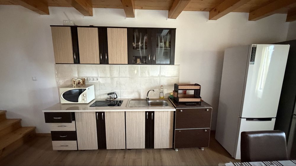 Cabana Mario 2 BaileFiga capacitate10-20pers jacuzzi