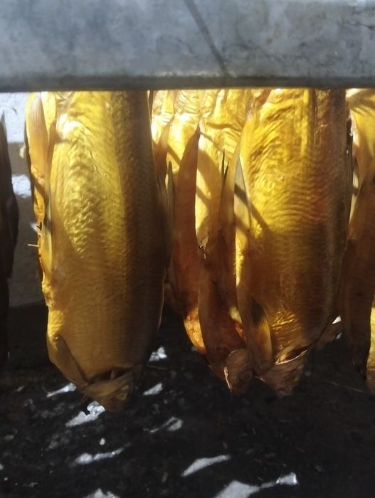 пеледь в продаже хорошего качества