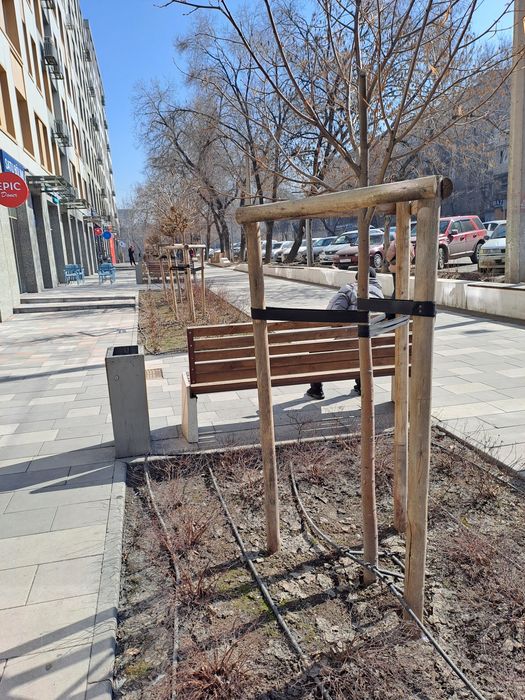 Берёзовые колышки для саженцев