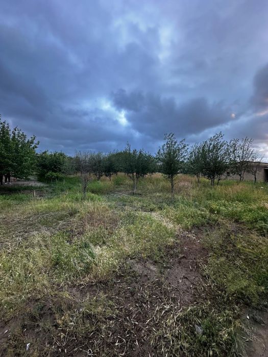 Uchastka sotiladi  arzon narxda !