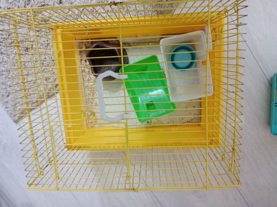 Продам одна клетка 2500