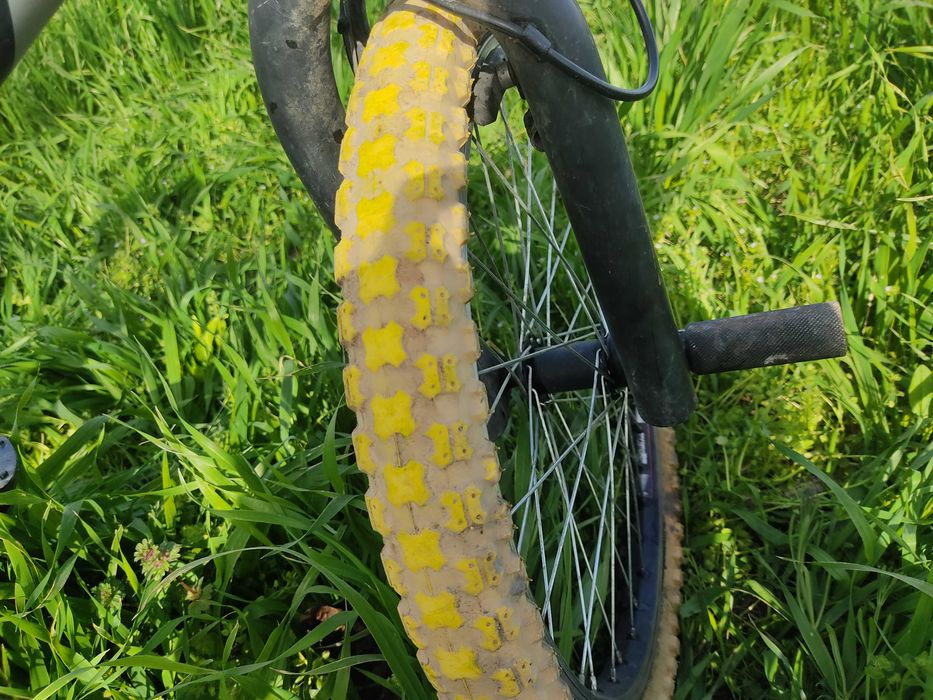 BMX Model: BX X-King