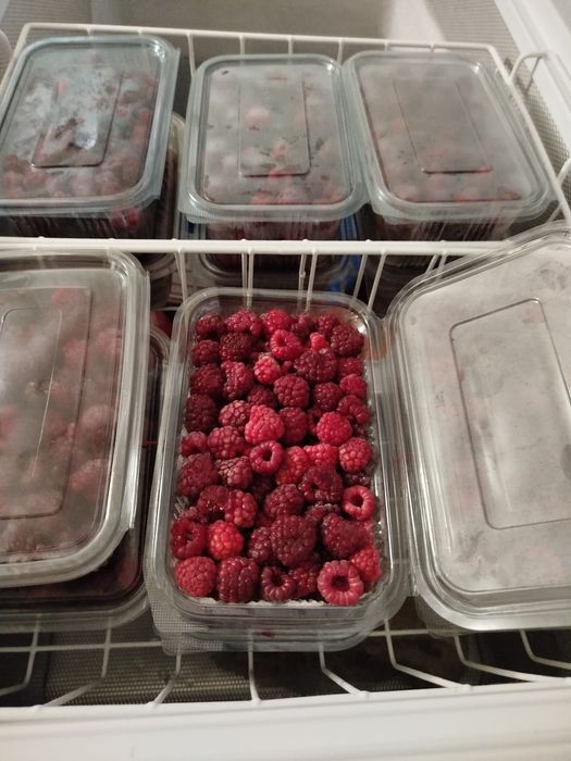 Zmeură congelată bio .