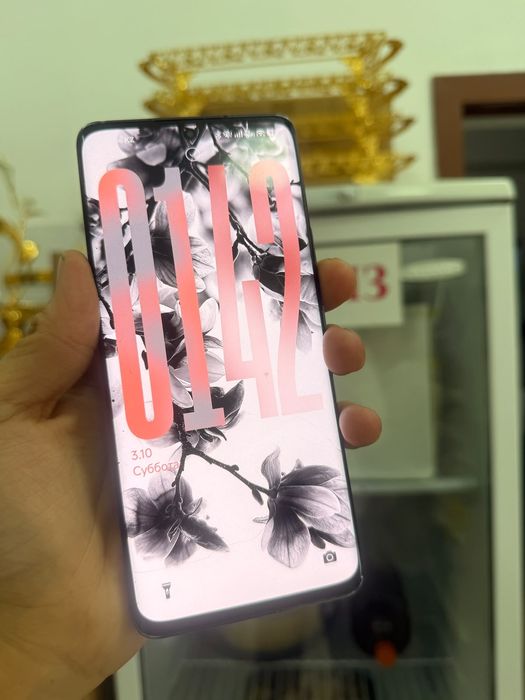 Xiaomi 13 pro 16/512