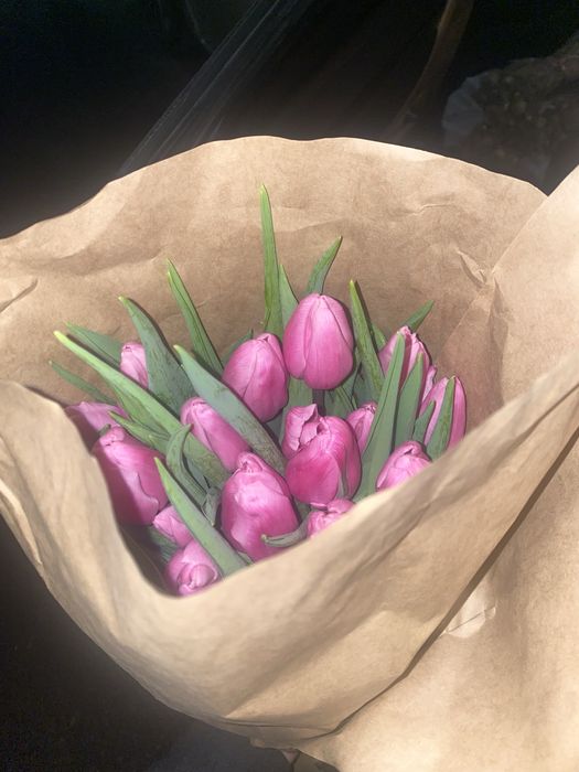 тюльпаны пионовидные