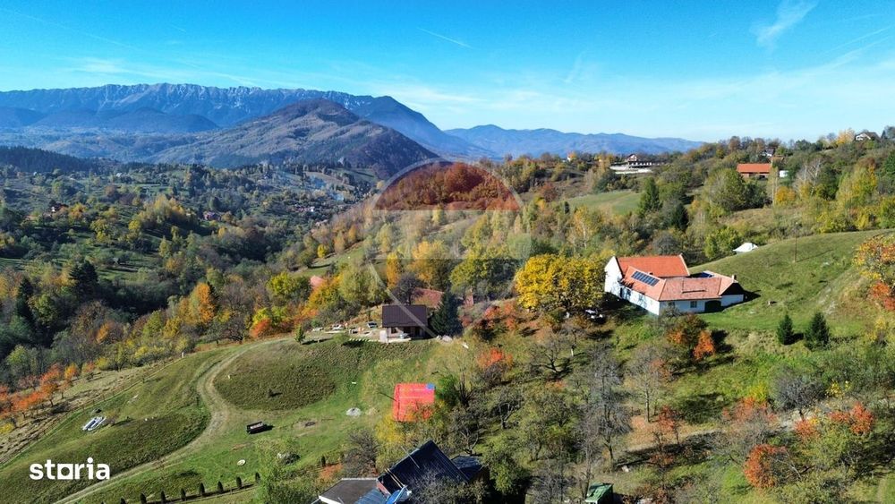 Teren Sohodol-Bran / Strada Bradul inalt, priveliste deosebita