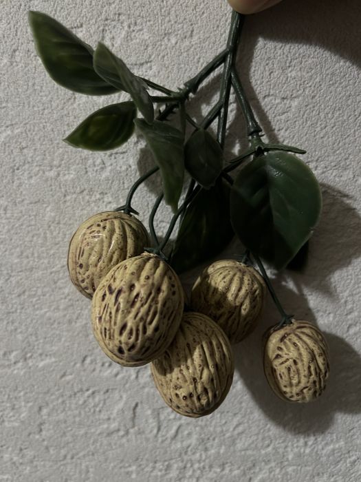 Декоративный грецкий орех
