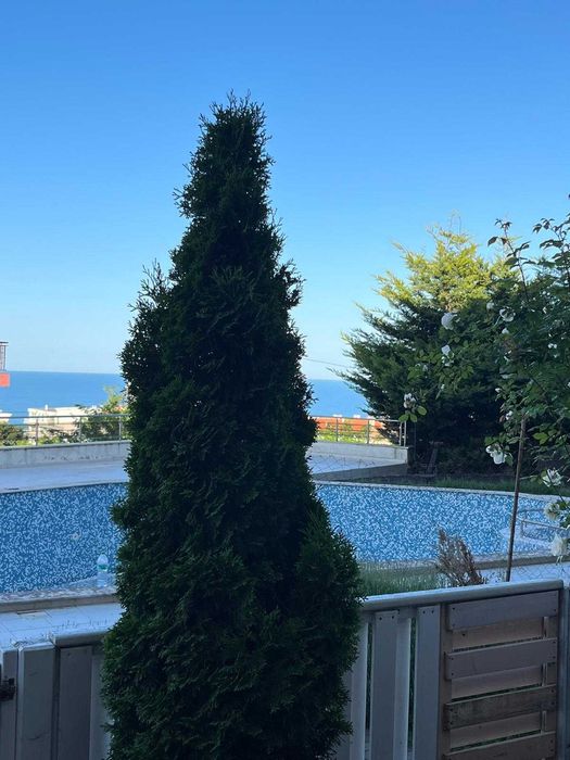 Тристаен апартамент с английски двор