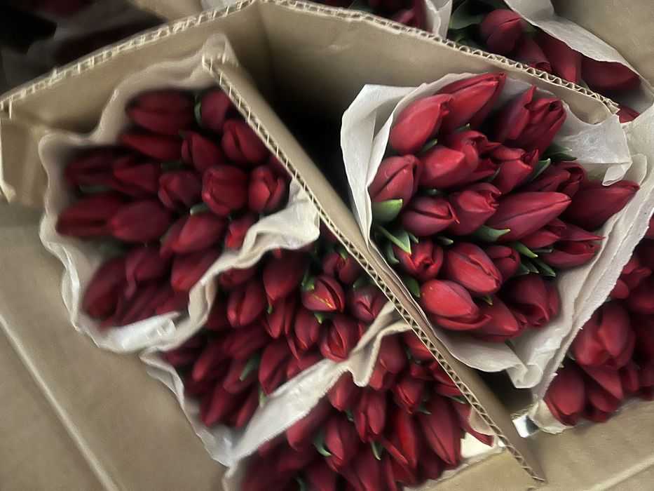 Тюльпаны доставка 7-8 марта
