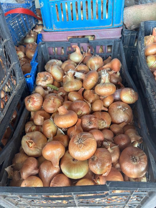 Лук за продаване