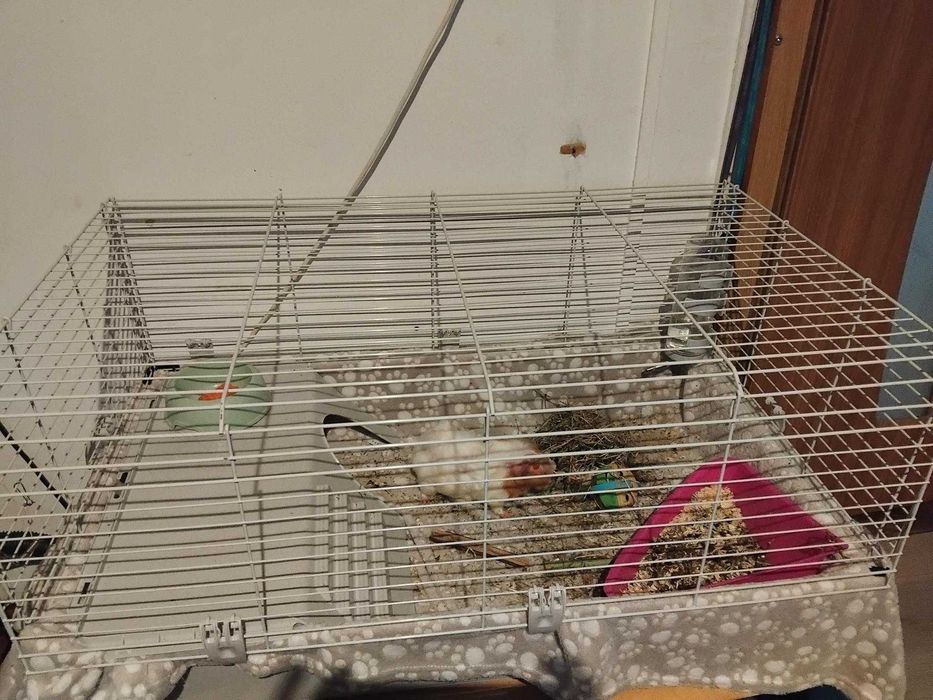 Голяма оборудвана клетка за гризачи (60х90 см) + аксесоари (Бургас)